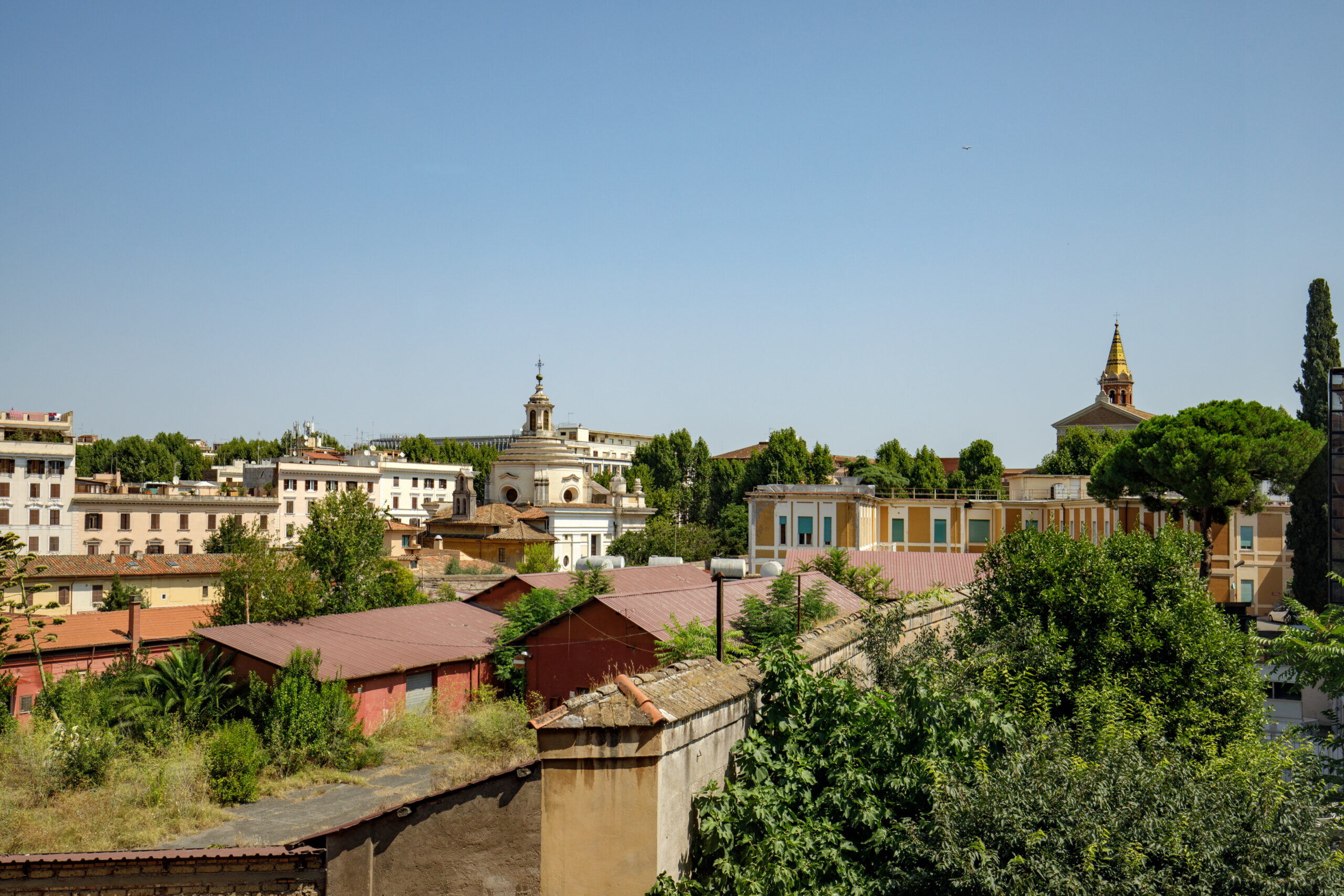 IMG_6449